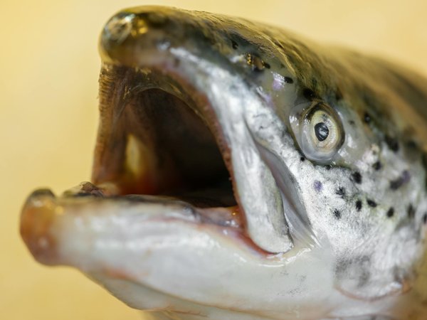 What strategies should UK health professionals adopt to improve patient adherence to treatment plans?